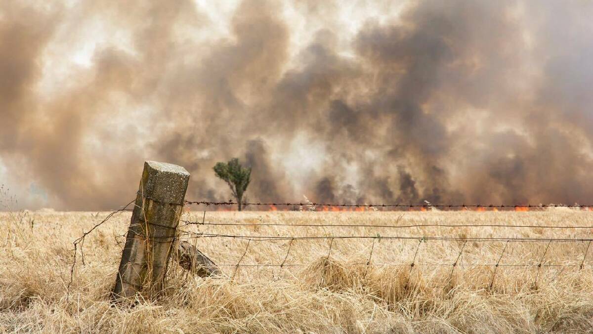 RFS to resume issuing fire permits for parts of the Riverina