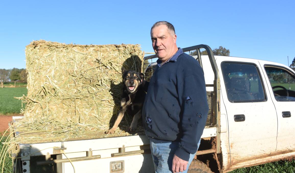 BOOST: Downside lamb and broadacre farmer David Meiklejohn with farm dog 'Mick'. He hopes that the NFF's new policy report on agriculture leading the economic recovery will also help smaller farmers. Picture: Rex Martinich 