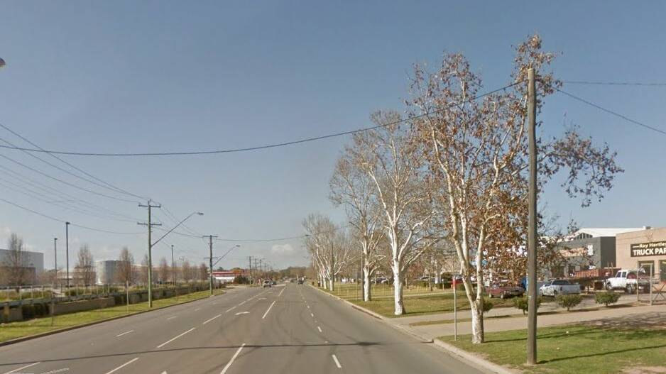 Trees along the Sturt Highway and Hammond Avenue, one of which will be removed by Wagga City Council on Tuesday. 