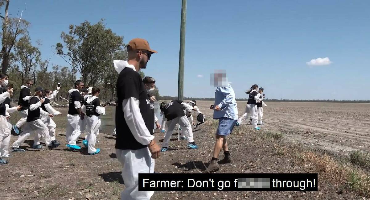 Animal activists invade a southern Queensland cattle feedlot in March. Picture: Animal Liberation Photography
