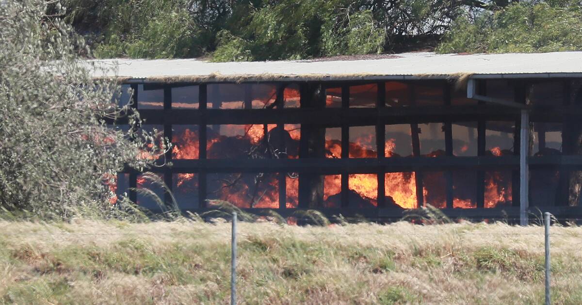 ABLAZE: The fire that has broken out in hay sheds near the Teys abattoir in Bomen. Picture: Les Smith
