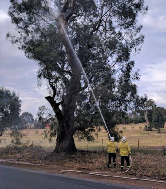 CONTAINMENT: Riverina RFS crews attend one of two tree fires after Sunday's storms. Picture: NSW RFS.