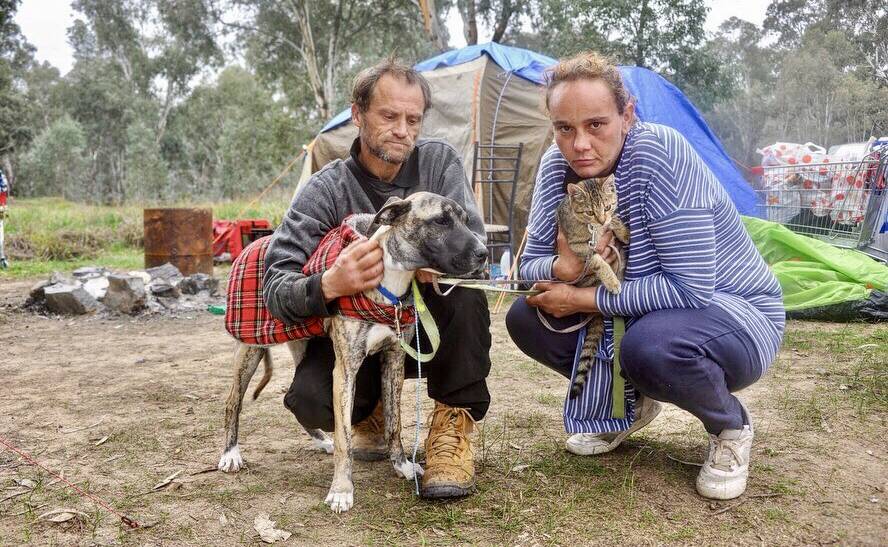 HANGING IN THERE: Gordon Whawell and Minney Hoggard with their pets, Princess and Lala, at Wilks Park where they have been living in tents for about the past two months. Pictures: Toby Vue