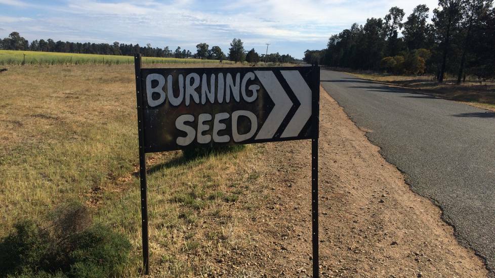 Eight to attend court after drug busts at Burning Seed festival