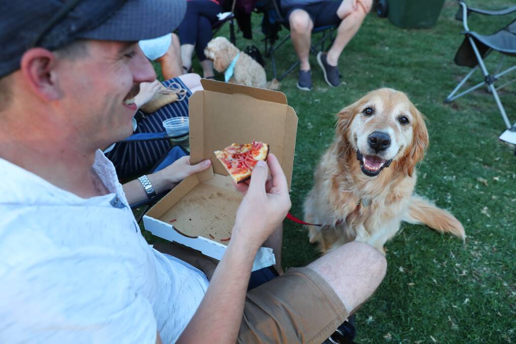 GOOD DAY: Alex Robinson and 'Annie' the dog having a blast at the Cork and Fork Fest. Picture: Emma Hillier