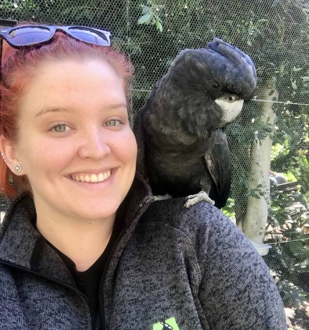 LOVE FOR BIRDS: Tamara Percival, CSU Wagga animal science student and veterinary nurse, with one of her beds. She encourages residents to participate in next week's Aussie Backyard Bird Count. Picture: Supplied