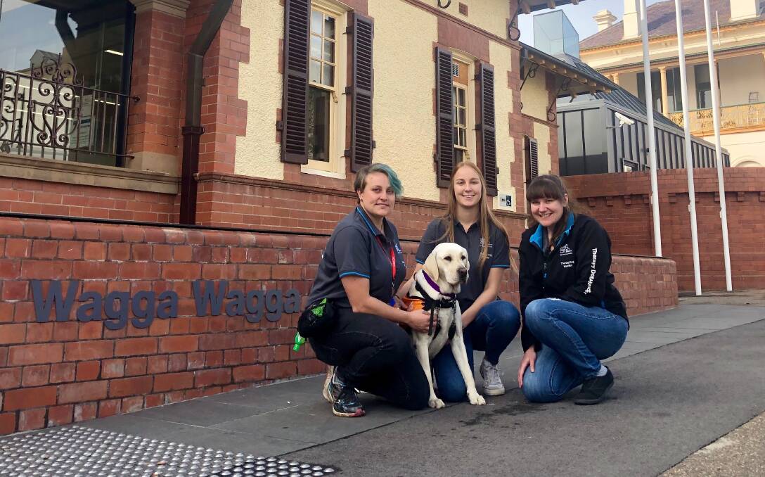 THERAPY: Dog handlers Kaitlyn Sheridan, Courtney Krause and Krystal Buckingham with Princess, Wagga Courthouse's therapy dog. Picture: Toby Vue