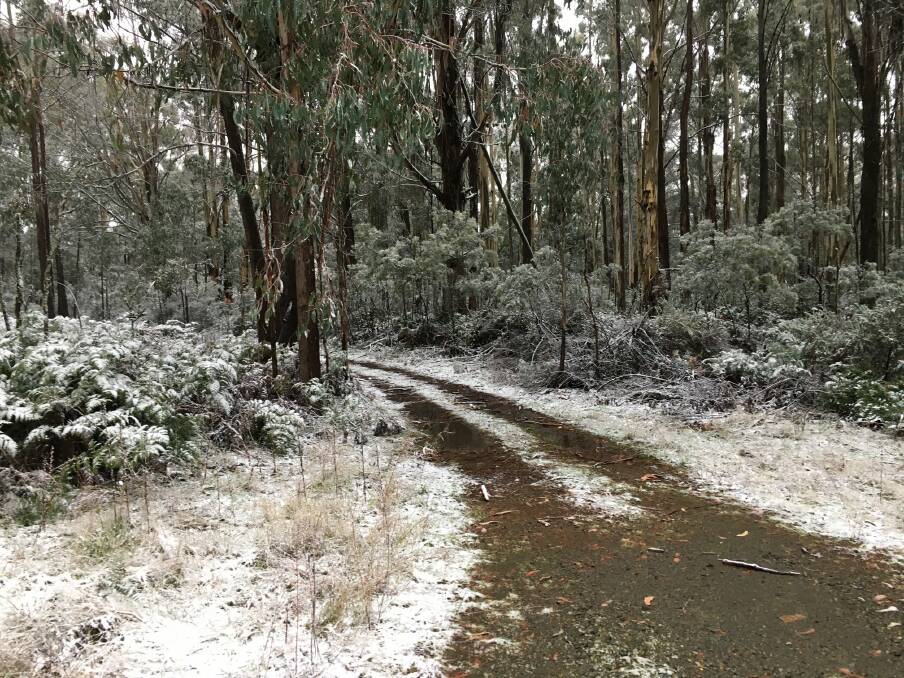 WINTER IS COMING: Snow this morning at Laurel Hill, between Batlow and Tumbarumba. Picture: Cor Smit via Visit Snowy Valleys.