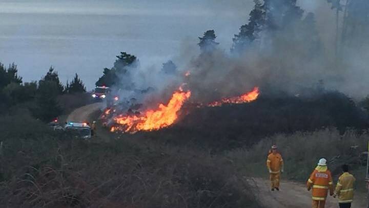 Riverina’s firefighters extinguish bushfire at Blowering Dam