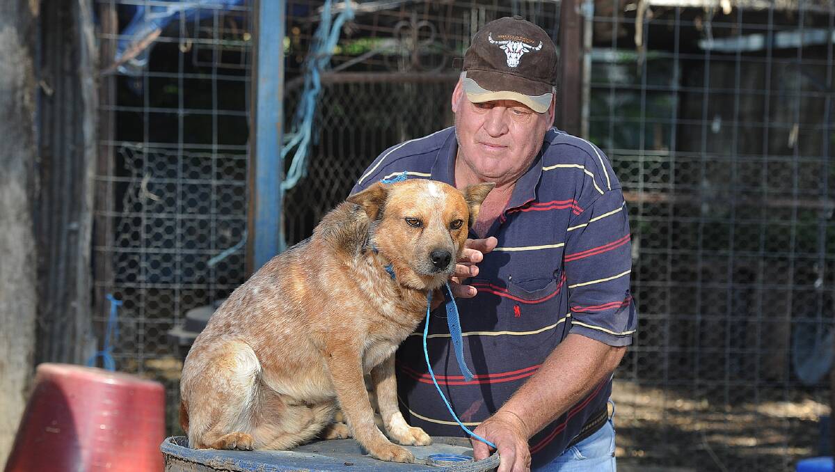 DISTRESSED: Wagga farmer Chris Wilson pictured with his dog that was meant to be taken. Picture: Laura Hardwick 