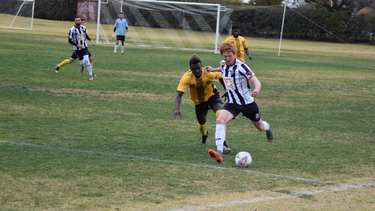 LOOKING FOR OPTIONS: Tyler Allen winds up to hoof the ball downfield against Balmain. 