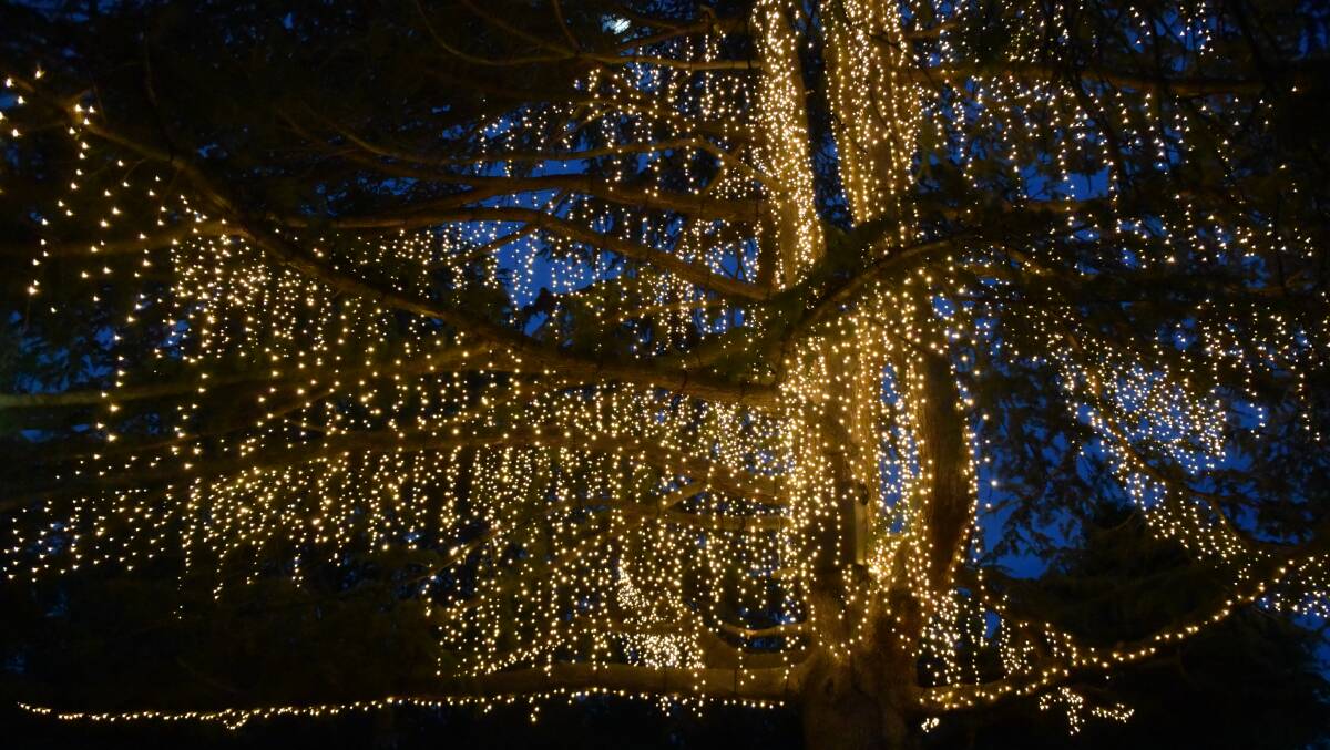 CHRISTMAS CHEER: Wagga's latest light installation drew choirs, crowds and Conkeys to the Victory Memorial Gardens on Thursday night. Picture: Lachlan Grey