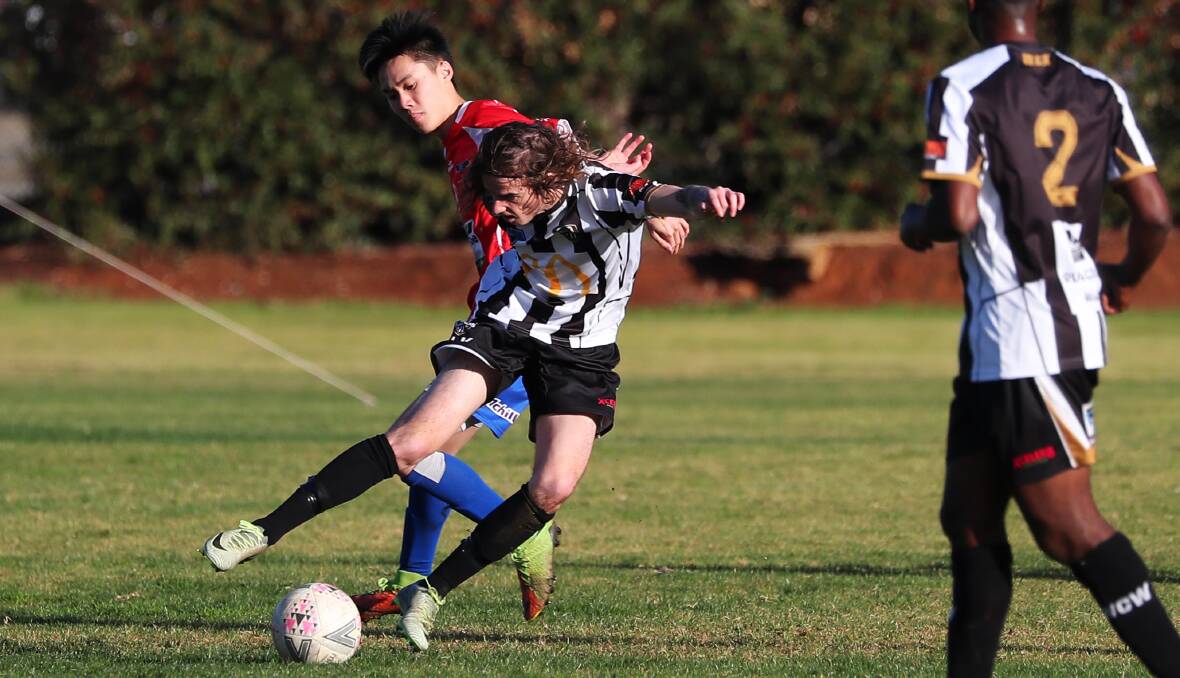HOME START: Wagga City Wanderers will make their debut NPL appearance at Gissing Oval against O'Connor Knights. 