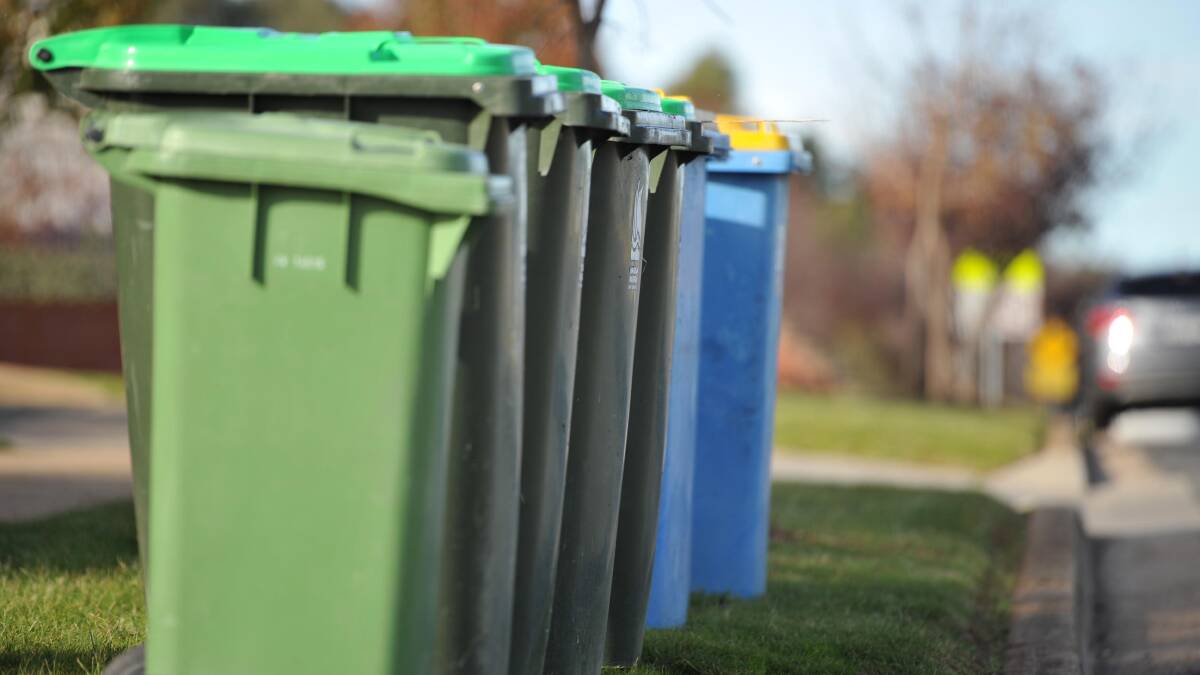BIN RAIDERS: Have you seen people raiding recycling bins in Wagga? Give us your thoughts. 