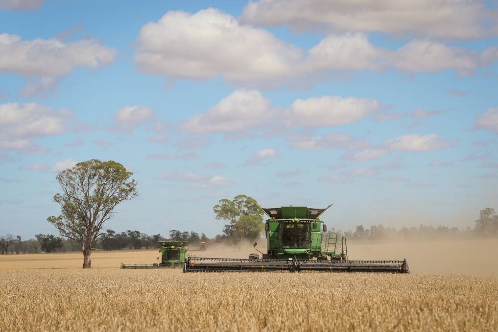 HIGH YIELDS: The Australian crop forecaster is tipping this year's winter harvest will be a record across major cropping regions, including the Riverina and northern Victoria. Picture: JAMES WILTSHIRE