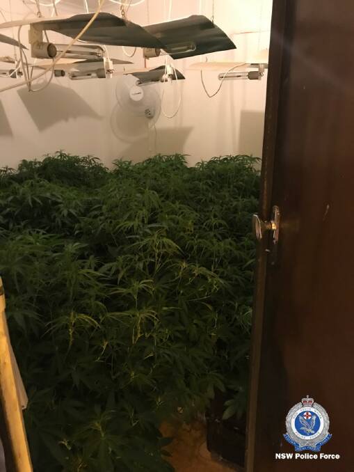 Man charged after $320,000 hydroponic crop discovered in Riverina