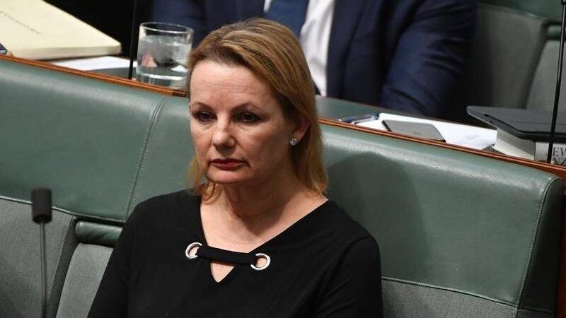 Liberal MP Sussan Ley.