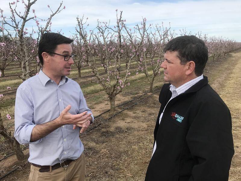 Federal Water Minister David Littleproud has met with Sharp Fruit's Mick Young near Swan Hill, Vic.