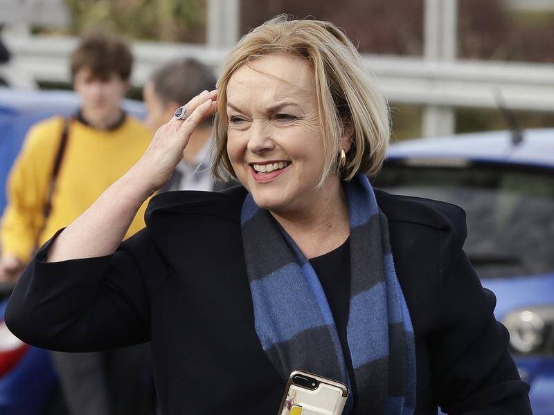 NZ Opposition Leader Judith Collins says she'll run a campaign "all about the economy".