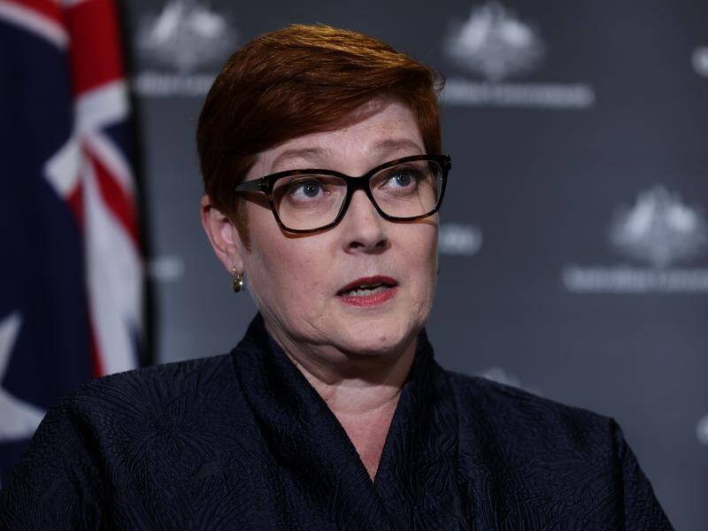 Marise Payne says Vietnam has signed a MoU with Australia over its agriculture visa program.