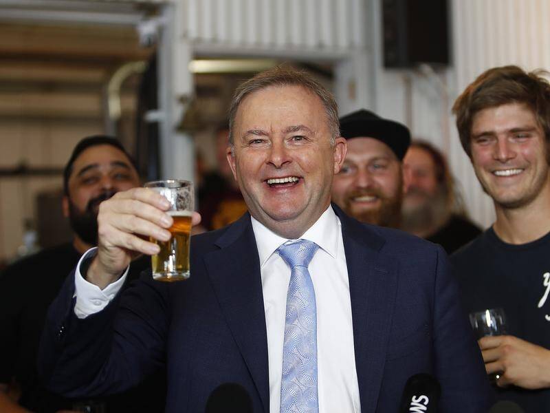 Labor frontbencher Anthony Albanese has told the party faithful his vision for its future.