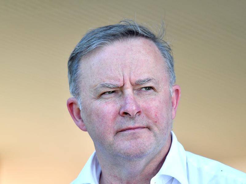 Opposition Leader Anthony Albanese's approval rating has dropped six points, according to a poll.