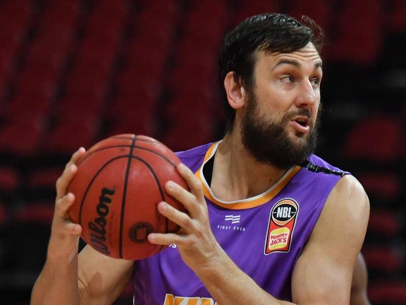 The Sydney Kings will be just as happy if Andrew Bogut chooses retirement and part ownership.