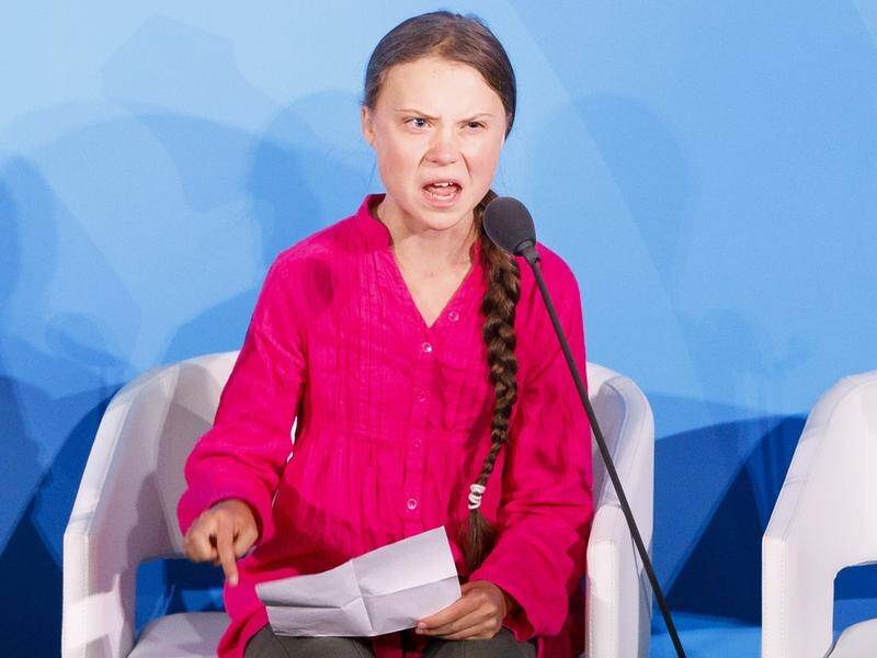 Greta Thunberg has told the UN: "You have stolen my dreams and my childhood with your empty words."