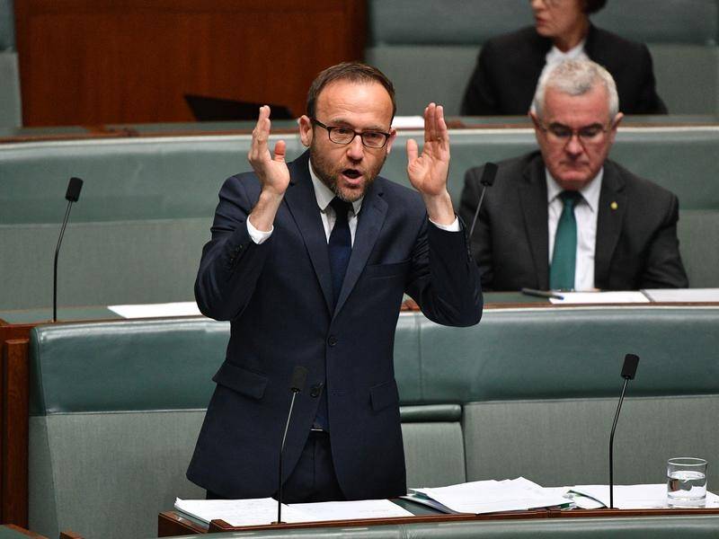 Adam Bandt has narrowly failed with a no-confidence motion in Home Affairs Minister Peter Dutton.