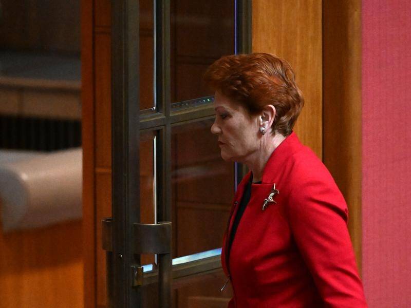 One Nation leader Pauline Hanson left the Senate chamber during the acknowledgment of country. (Mick Tsikas/AAP PHOTOS)