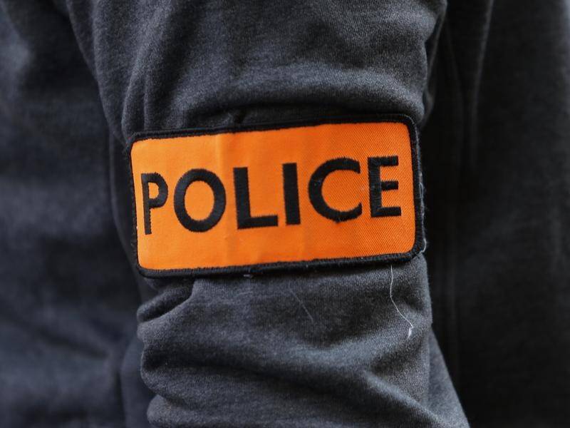Police in France have arrested seven former members of Italian leftist militant group Red Brigades.