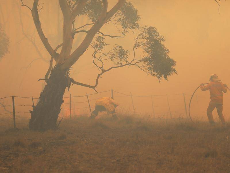 A royal commission will not "point the finger" of blame over Australia's unprecedented bushfires.