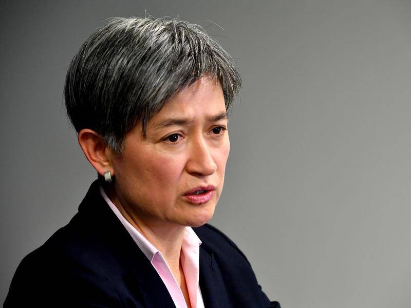 Labor's Penny Wong (above) has urged the government to push Brazil to take action on Amazon fires.
