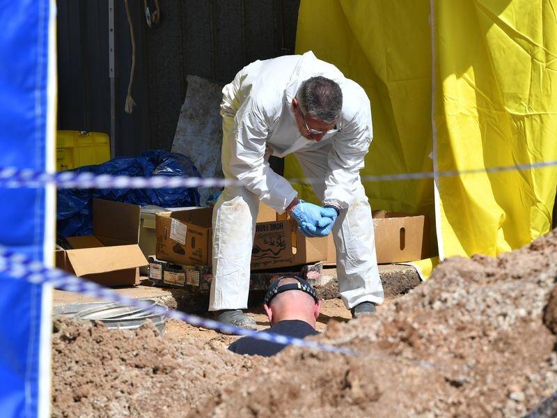 Colleen Adams' remains were found buried in the backyard of the home she vanished from 46 years ago.