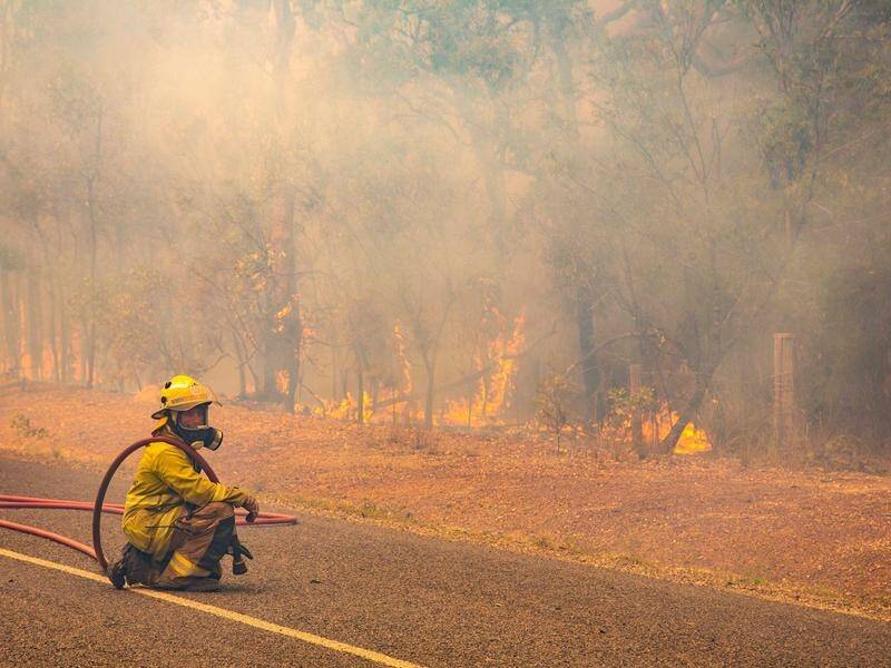 Queensland firefighters aren't expecting last year's conditions that saw much bushland lost.