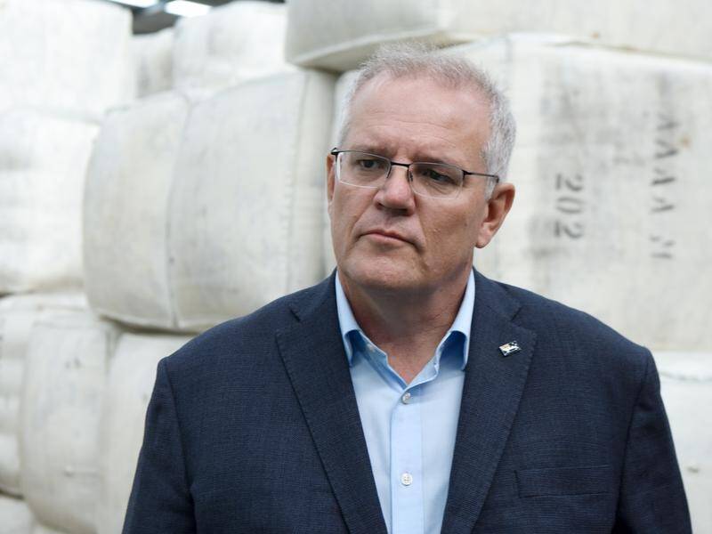 Prime Minister Scott Morrison has denied making a racist remark during his preselection in 2007.