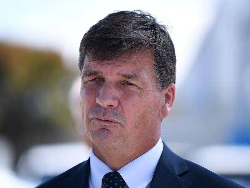 Energy Minister Angus Taylor has praised Jemena's new green hydrogen project as a "major milestone".