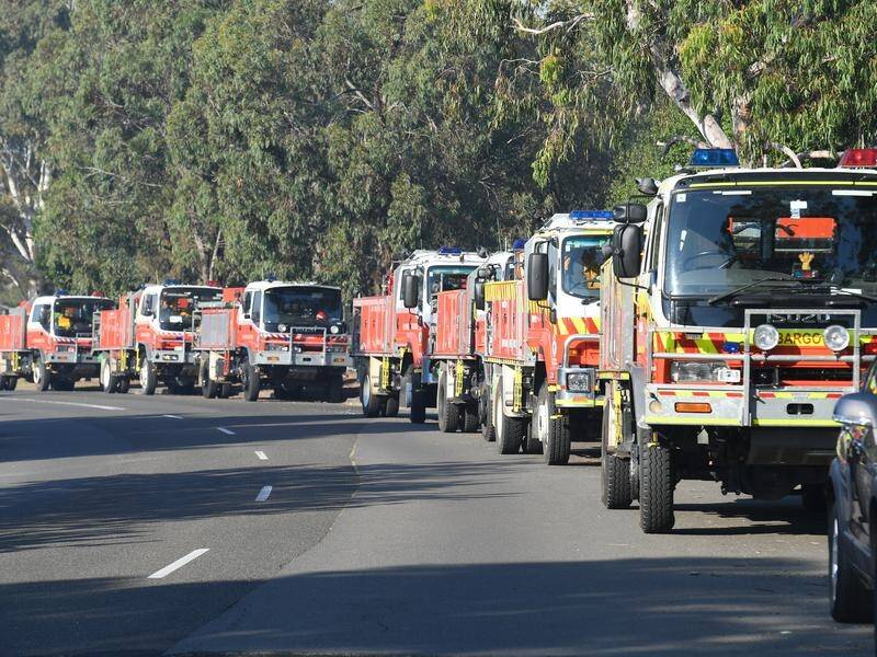 High winds are hampering efforts by firefighters battling blazes on the NSW mid-north coast.