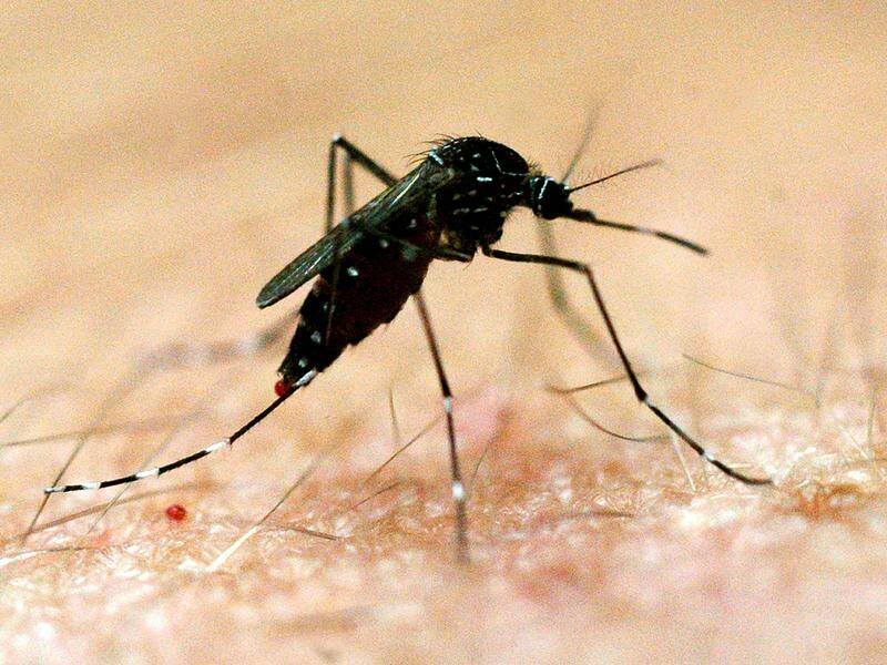 A man from the Riverina is the sixth person to be diagnosed with Japanese encephalitis in NSW.