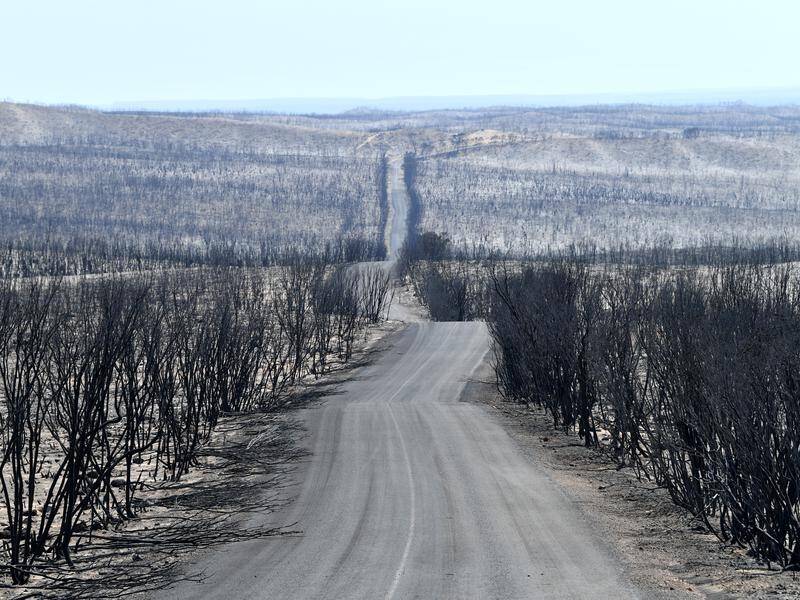 South Australia has finalised a bushfire management plan to operate across the state until 2025.