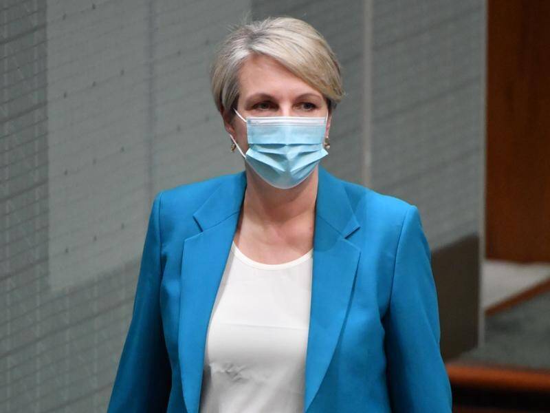 Tanya Plibersek says "it's beyond time the prime minister told Craig Kelly to just shut up".