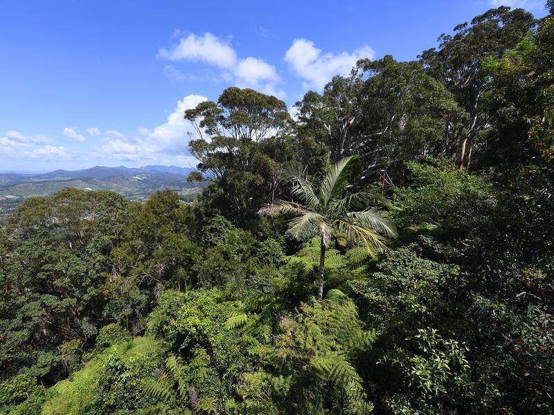 Australia has signed a global pact to address deforestation and landowners are keen for details.