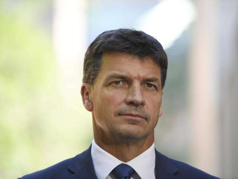 Angus Taylor has shut down a NSW push to discuss putting an emissions obligation into energy policy.