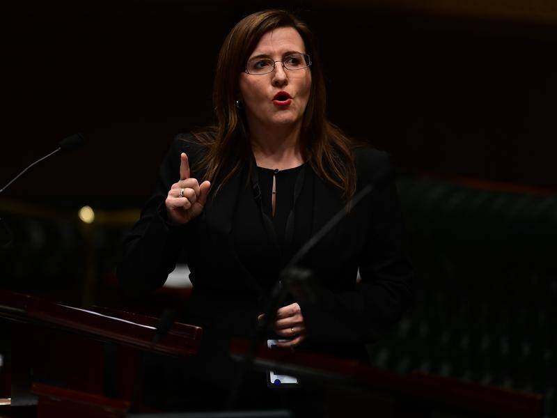 NSW Labor MP Tania Mihailuk has raised 'longstanding concerns' about Khal Asfour's character. (Joel Carrett/AAP PHOTOS)