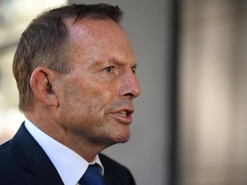 The UK government has confirmed that Tony Abbott will be one of its trade advisers.