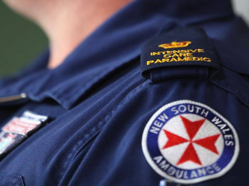 A falling tree has killed a man in the back seat of a car in a freak accident in northern NSW.