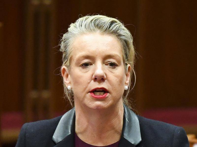 Minister Bridget McKenzie is spearheading the draft plan for the nation's boarders.