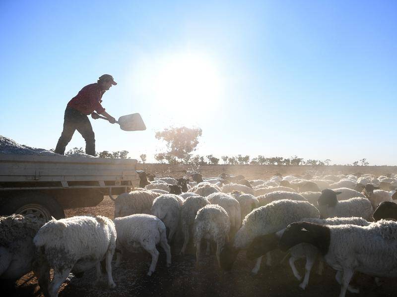 Farm profits could take a severe hit if Australian producers fail to adapt to changing climate.