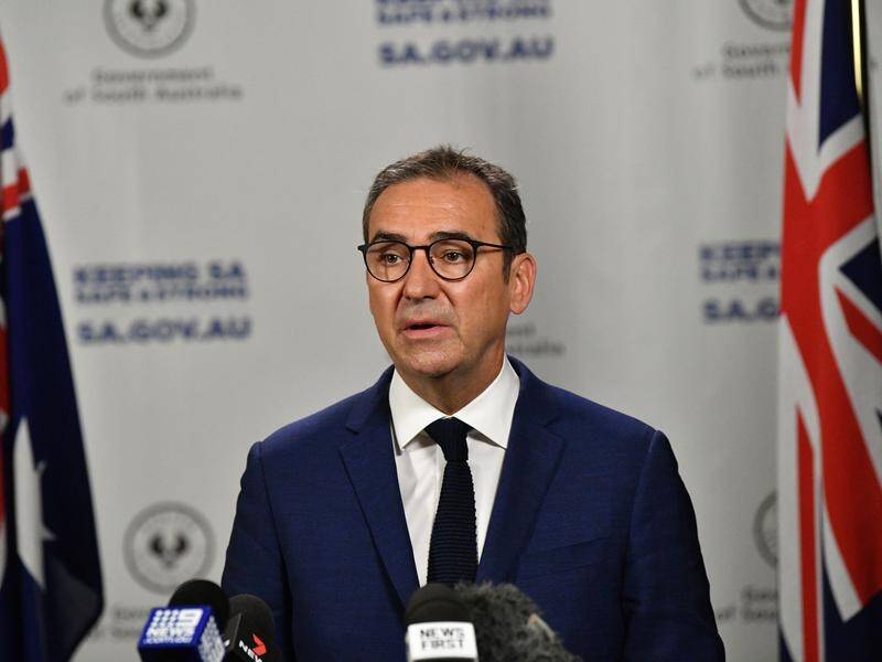 Steven Marshall says privacy issues may prevent the full release of a SA report into child abuse.