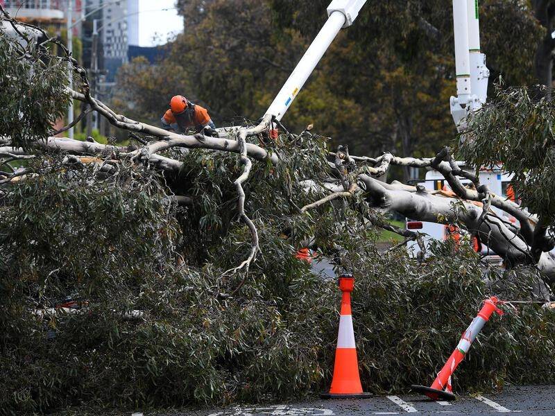 More than 500,000 homes lost power during Victoria's October storms.